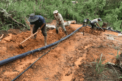 TCVN 14198:2024 yêu cầu kỹ thuật trong thiết kế hệ thống tưới tiêu ngầm cho cây trồng